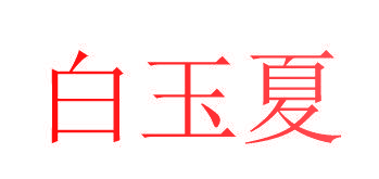 白玉夏