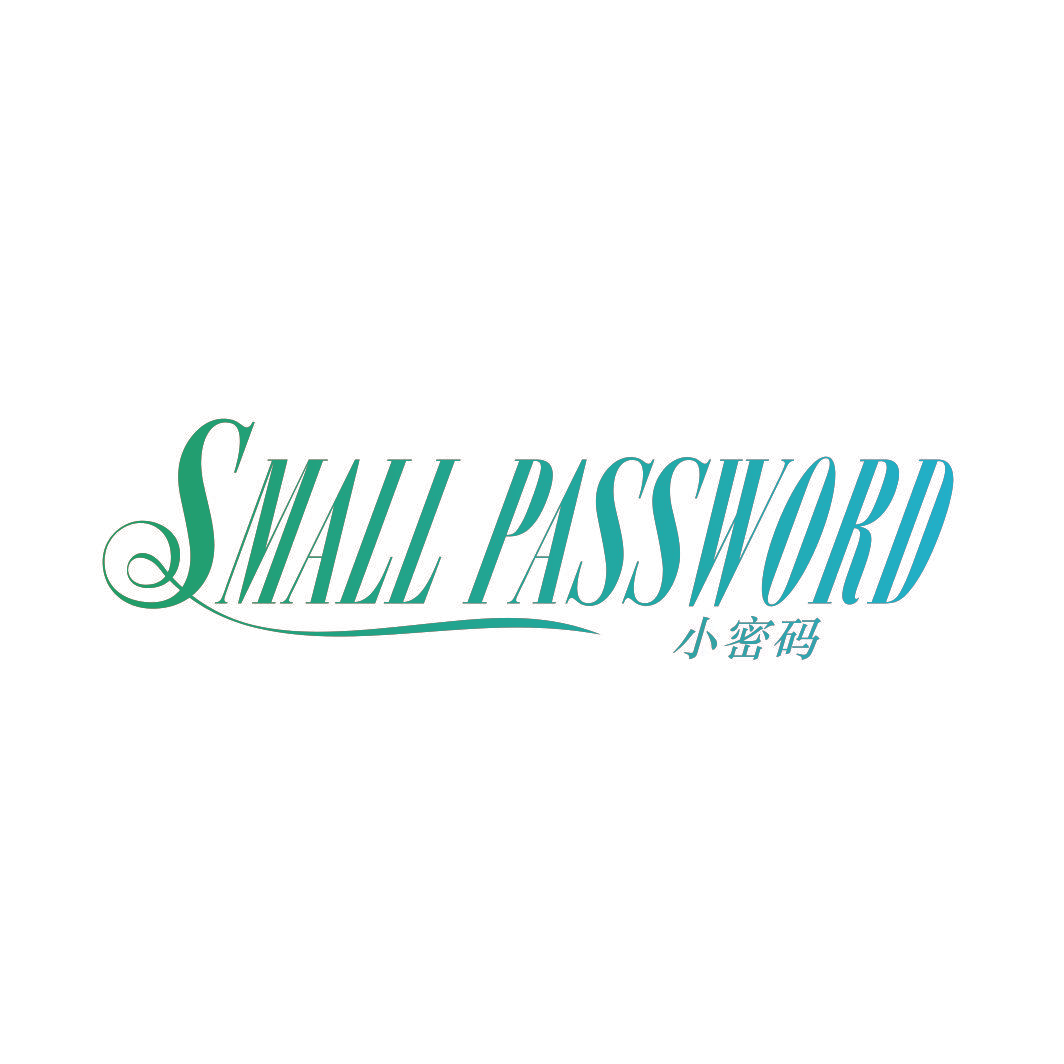 小密码 SMALL PASSWORD