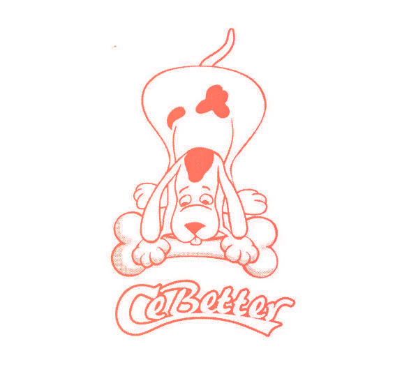 CEBETTER
