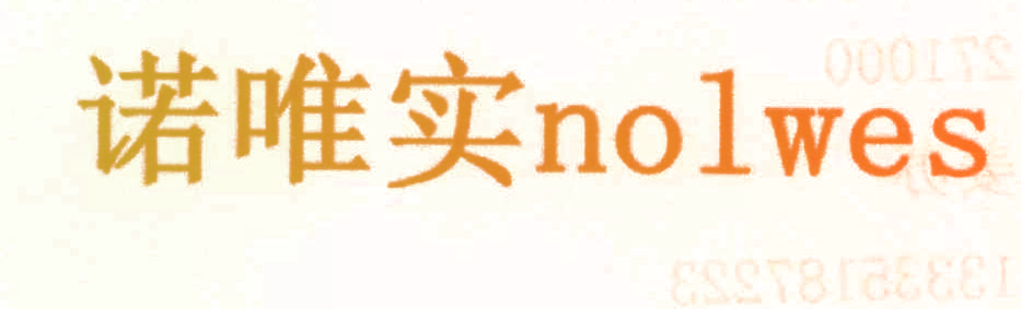 诺唯实 NOLWES