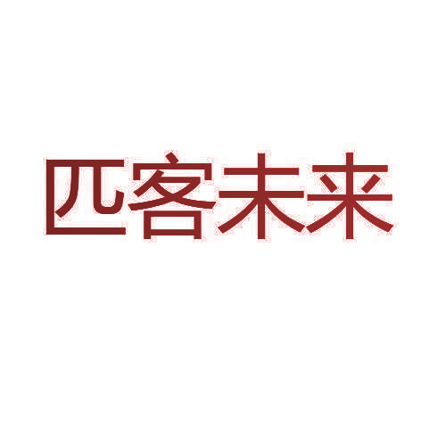 匹客未来