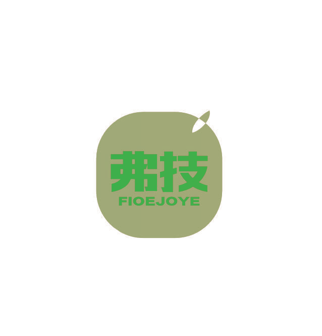 弗技 FIOEJOYE