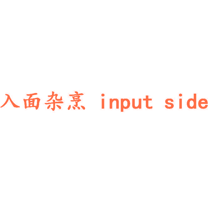入面杂烹 INPUT SIDE