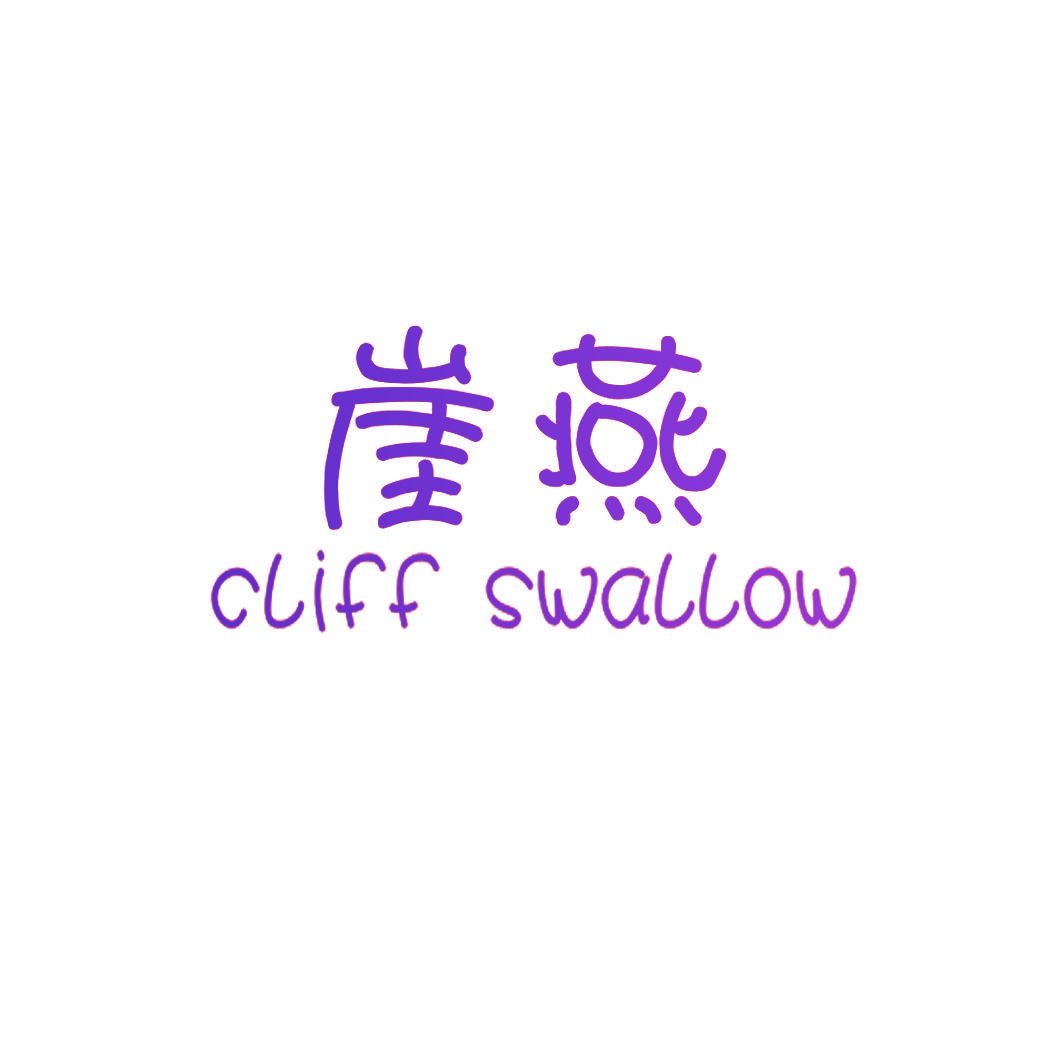 崖燕 CLIFF SWALLOW