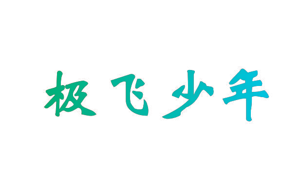 极飞少年