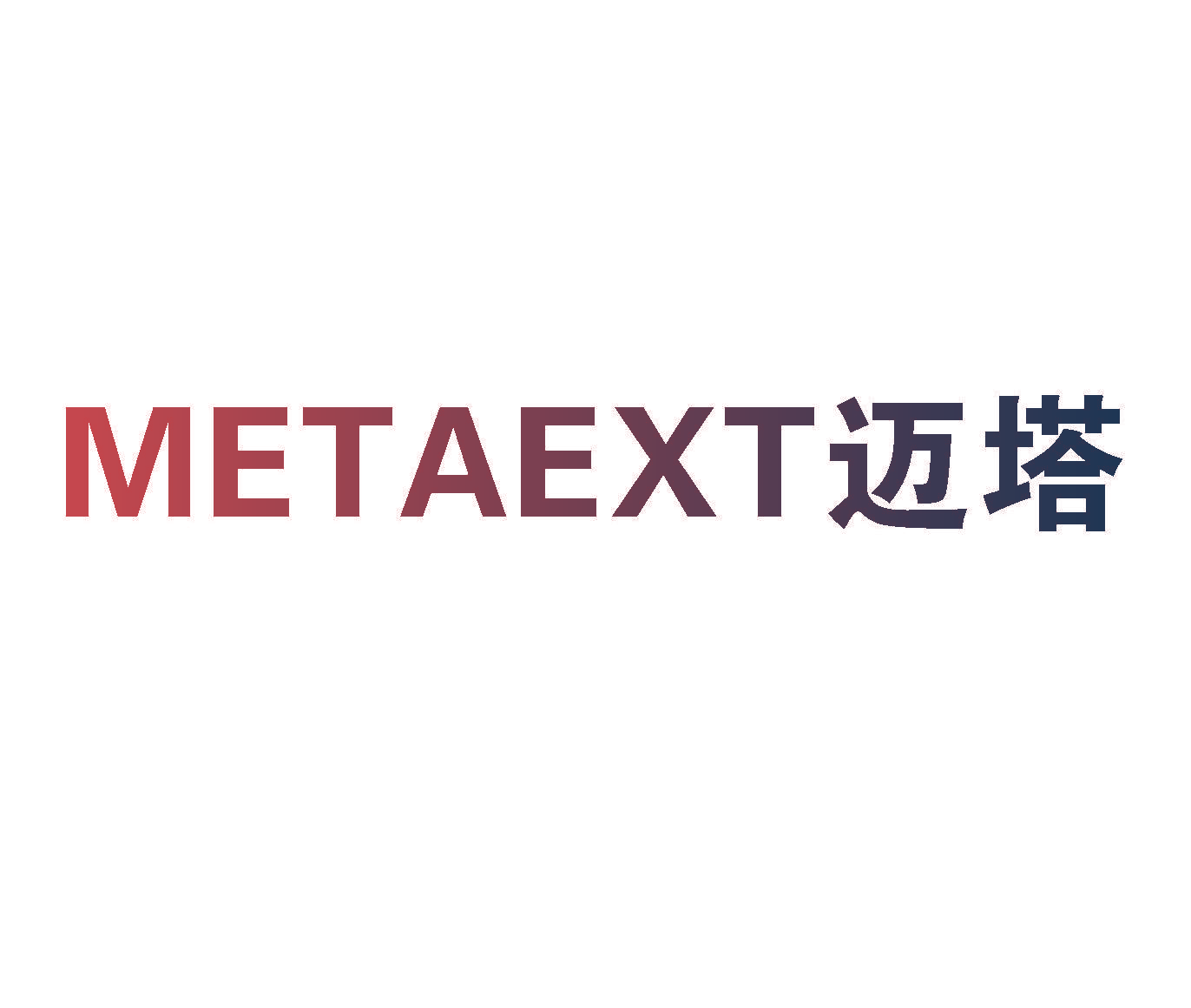 迈塔 METAEXT