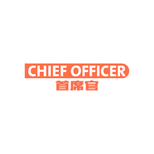 首席官,CHIEF OFFICER