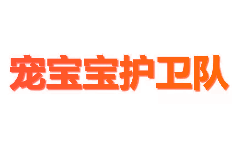 宠宝宝护卫队
