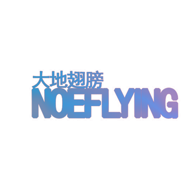 大地翅膀 NOEFLYING