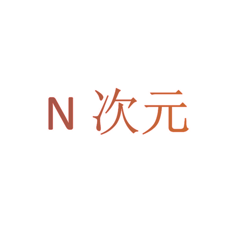 N次元