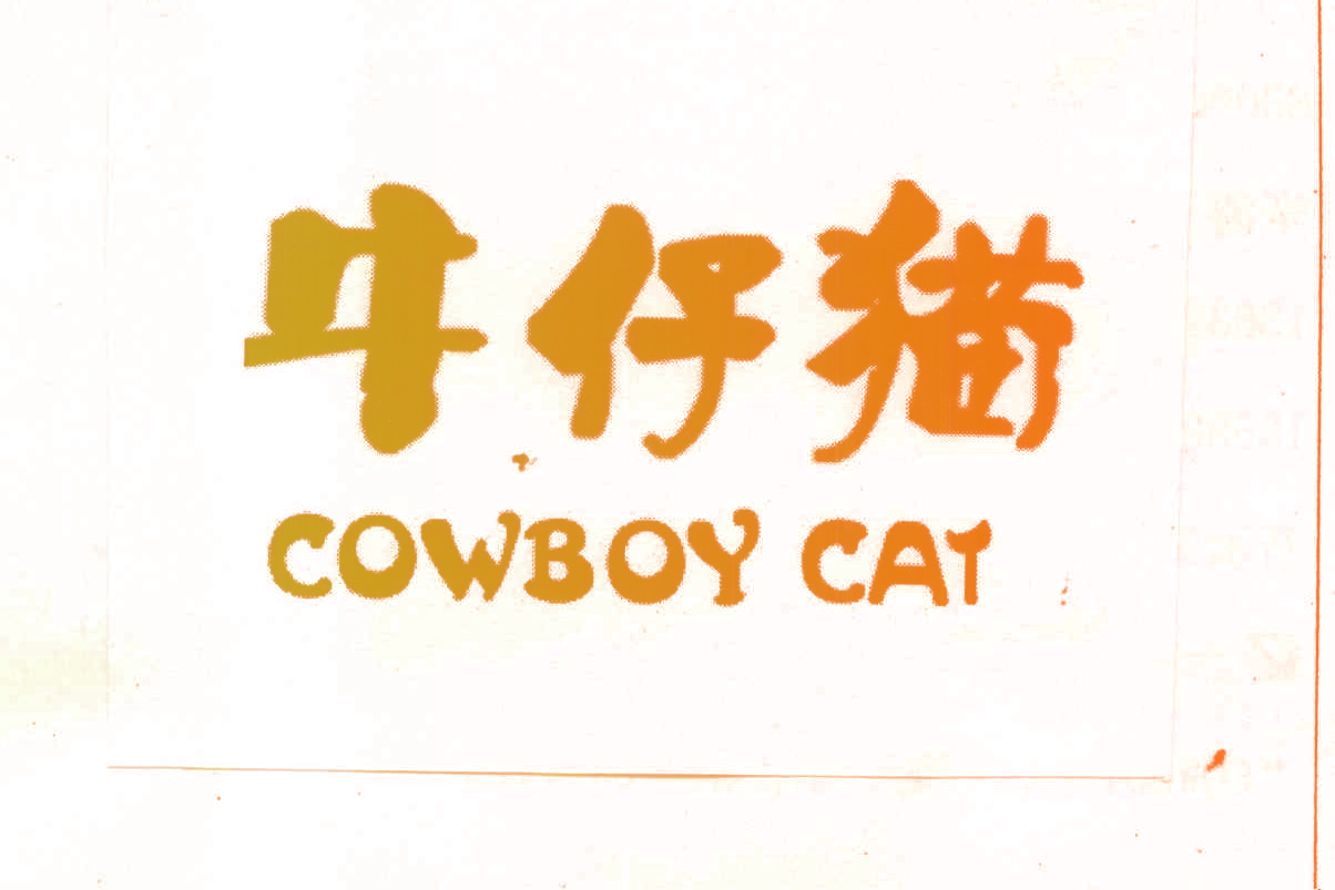 牛仔猫 COWBOY CAT