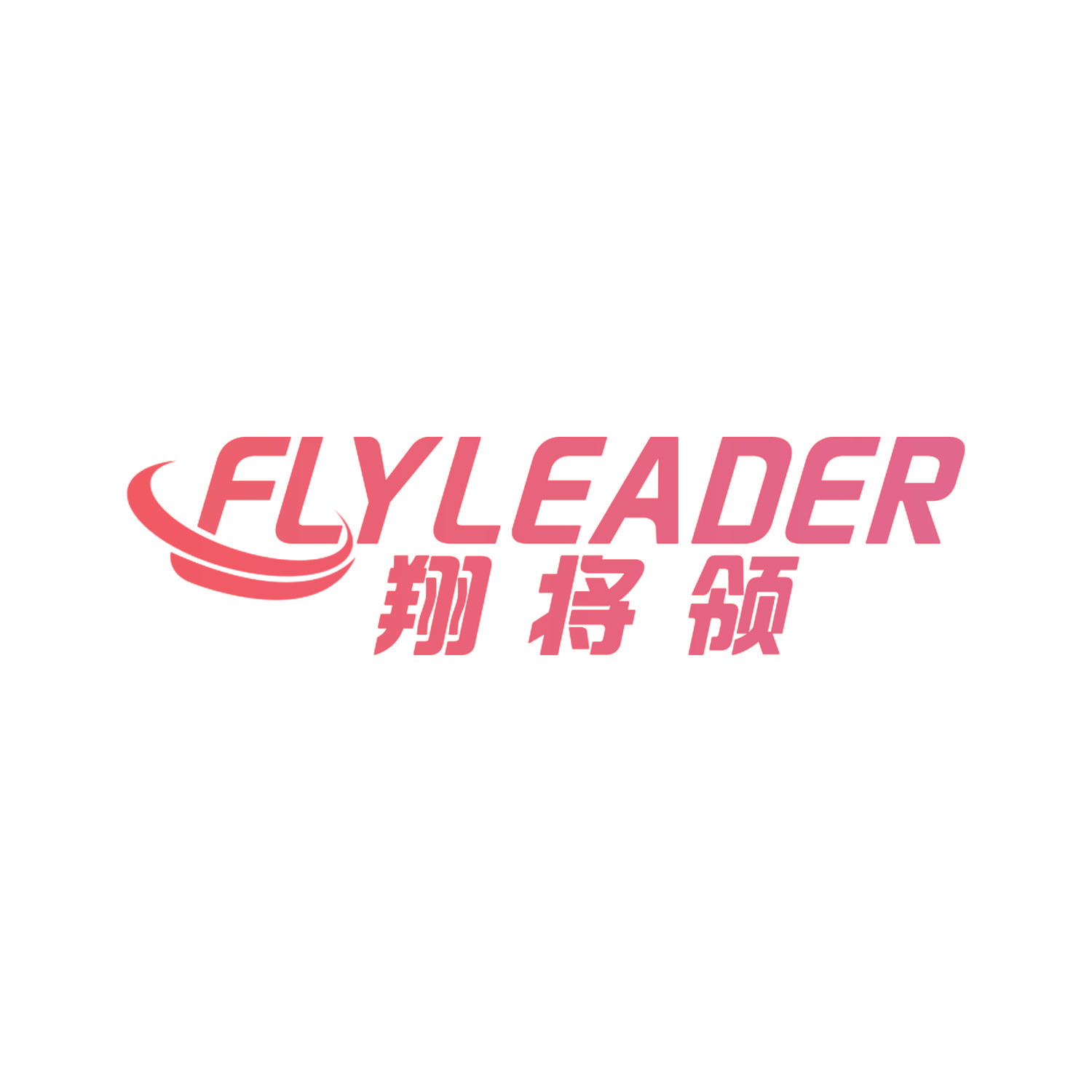 FLYLEADER 翔将领