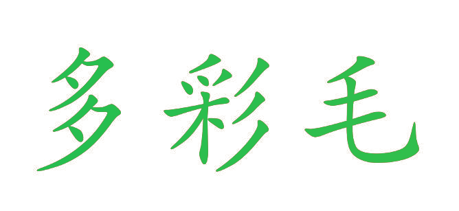 多彩毛