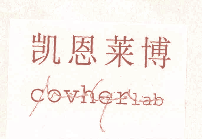 凯恩莱博 COVHERLAB