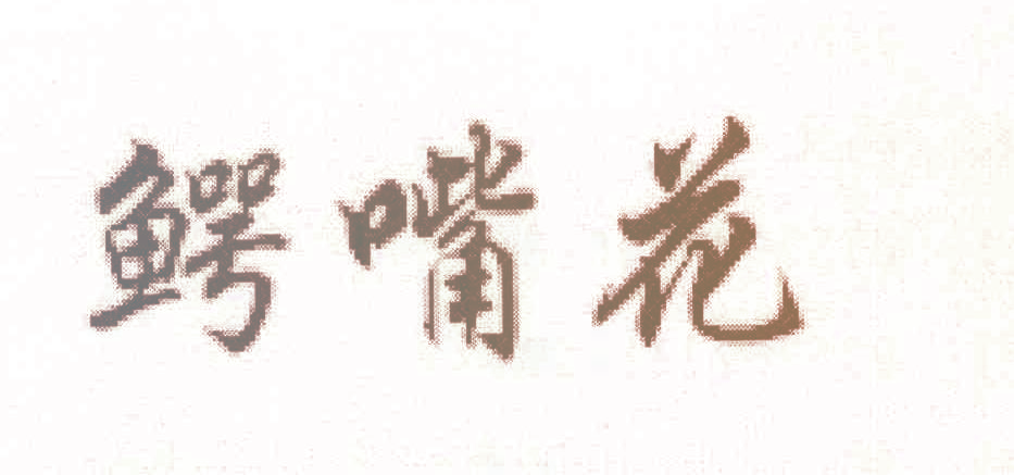 鳄嘴花