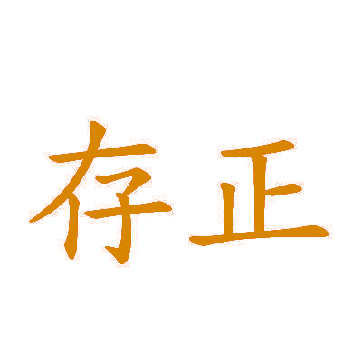 存正