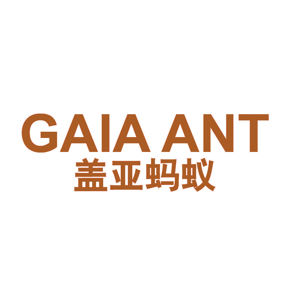 盖亚蚂蚁 GAIA ANT