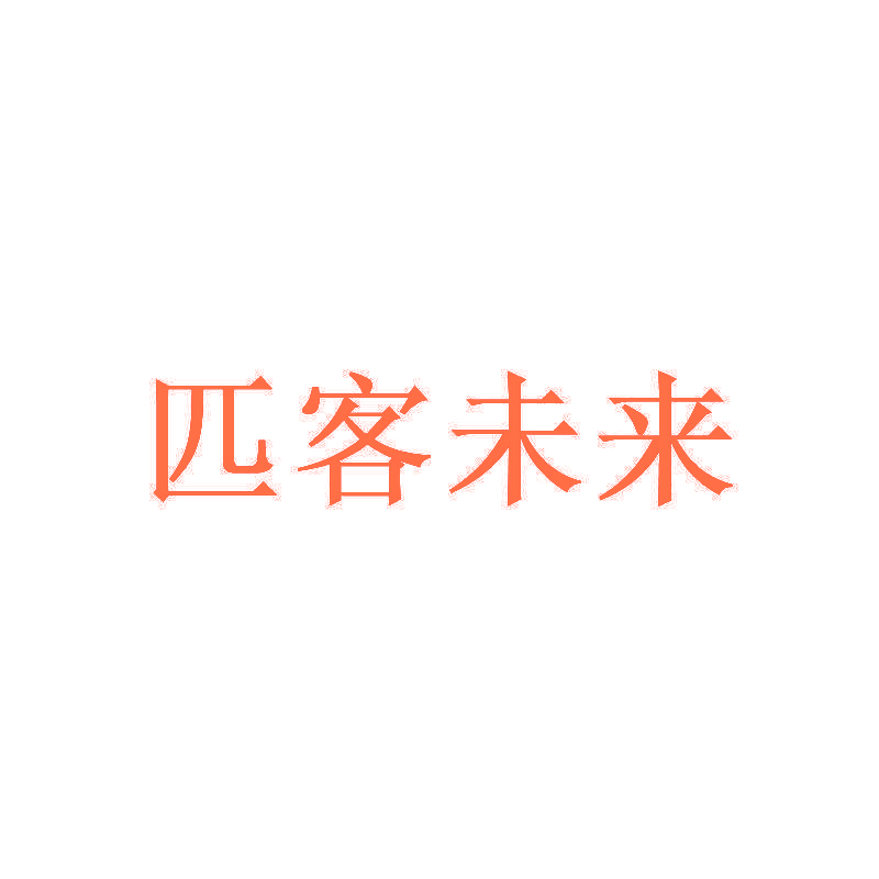 匹客未来