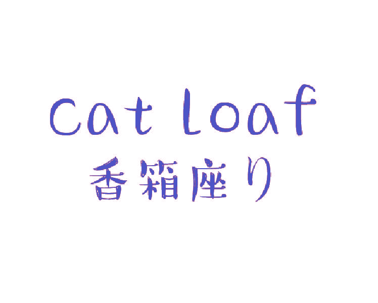 香箱座  CAT LOAF