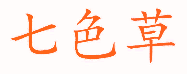 七色草