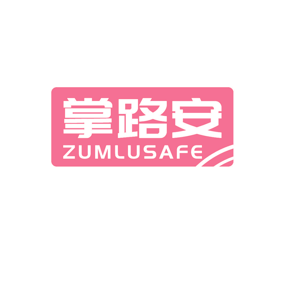 掌路安 ZUMLUSAFE
