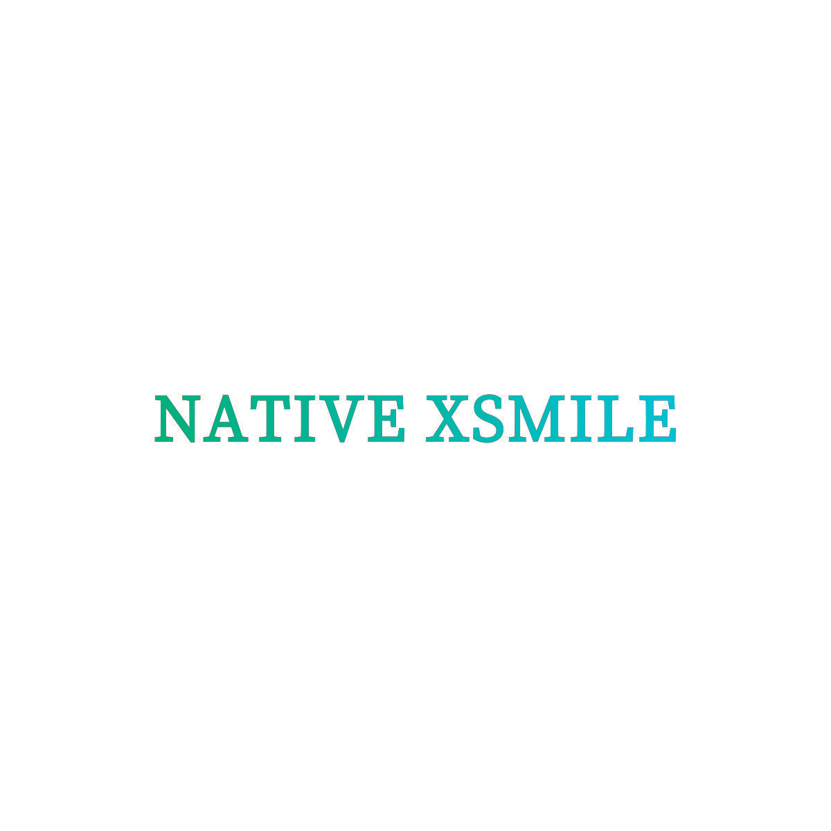 NATIVE XSMILE