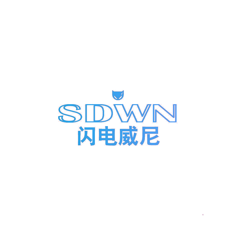 闪电威尼  SDWN