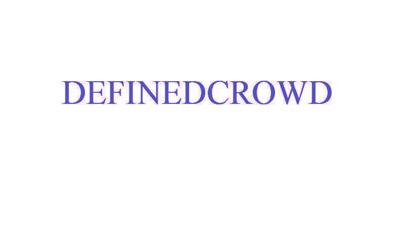 DEFINEDCROWD