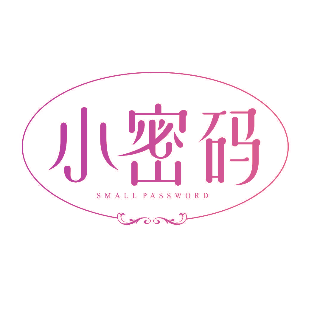 小密码 SMALL PASSWORD