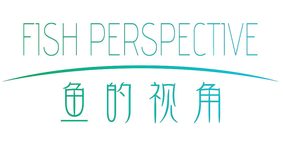 鱼的视角 FISH PERSPECTIVE
