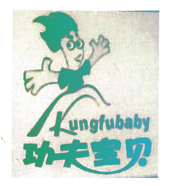 功夫宝贝;KUNGFU BABY