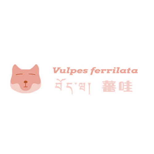 VULPES FERRILATA 蕃哇