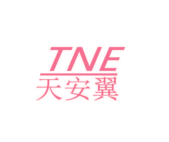 天安翼 TNE