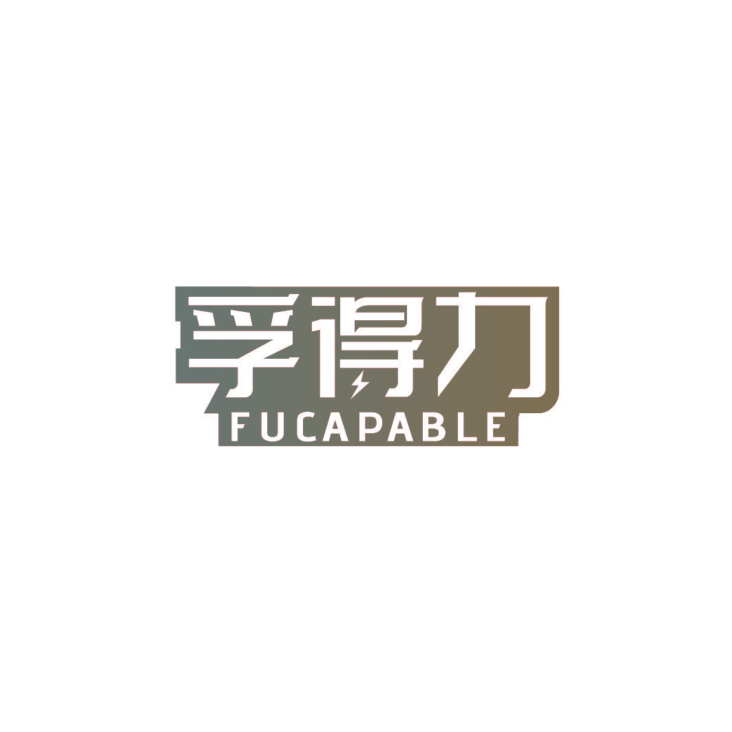 孚得力 FUCAPABLE