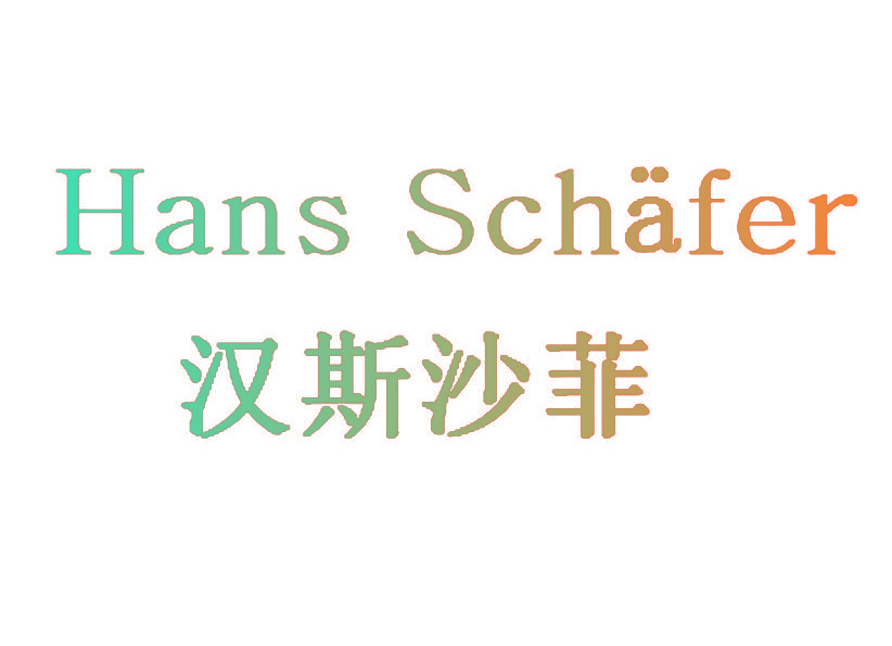 汉斯沙菲 HANS SCHAFER