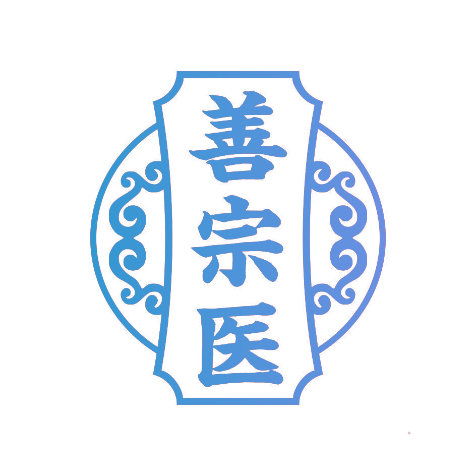 善宗医