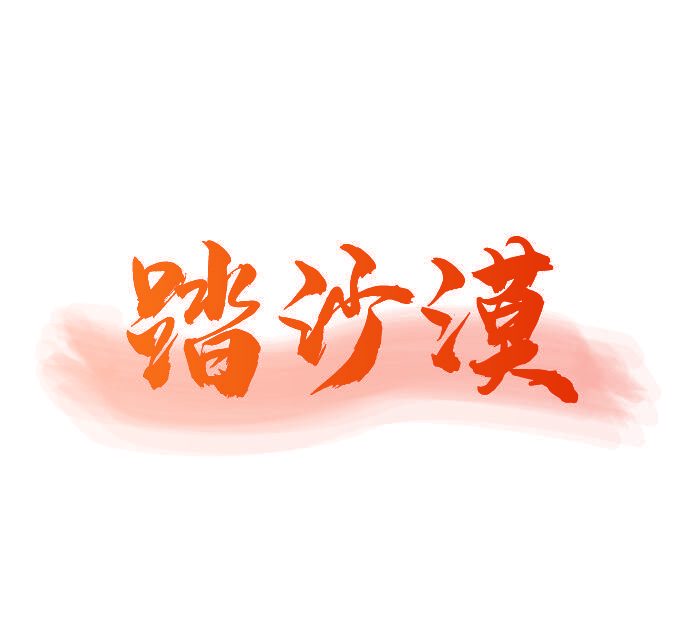 踏沙漠