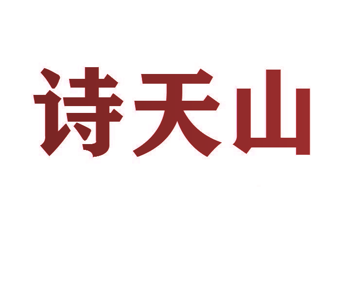 诗天山