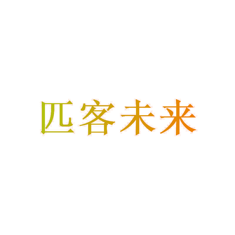 匹客未来