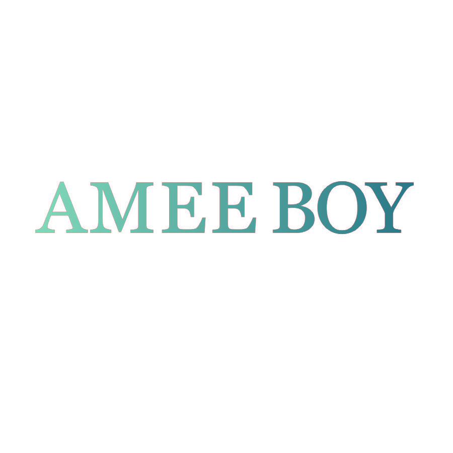 AMEEBOY