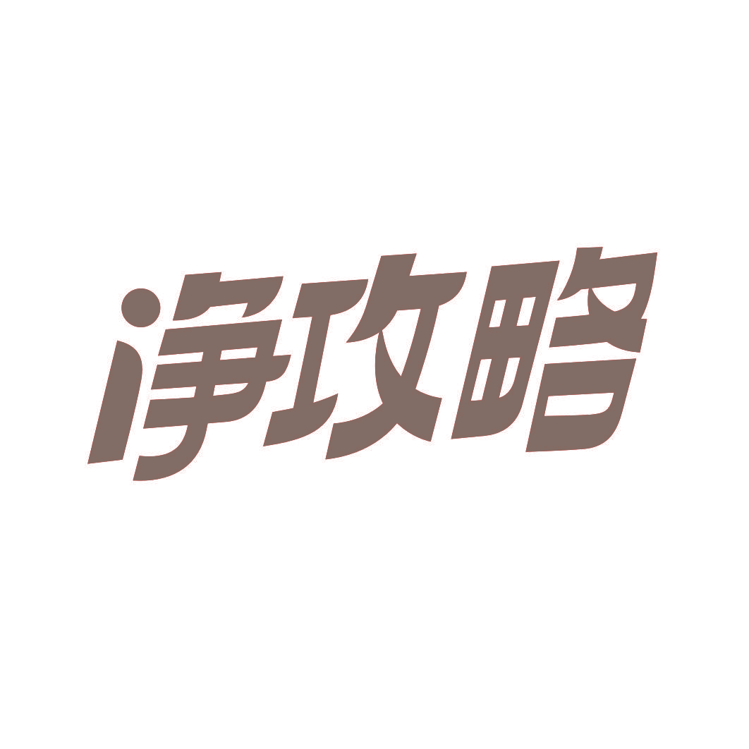 净攻略