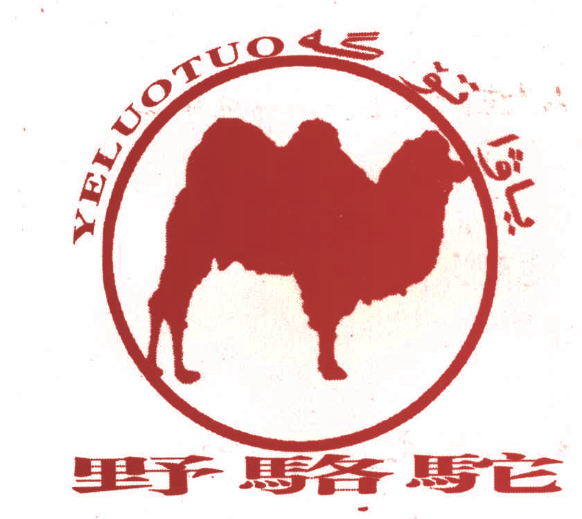 野骆驼
