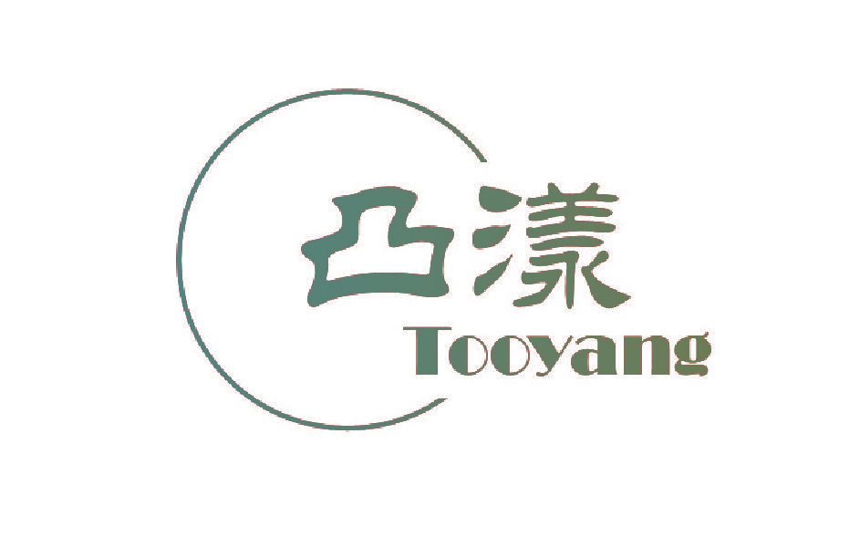 凸漾 TOOYANG