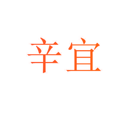 辛宜