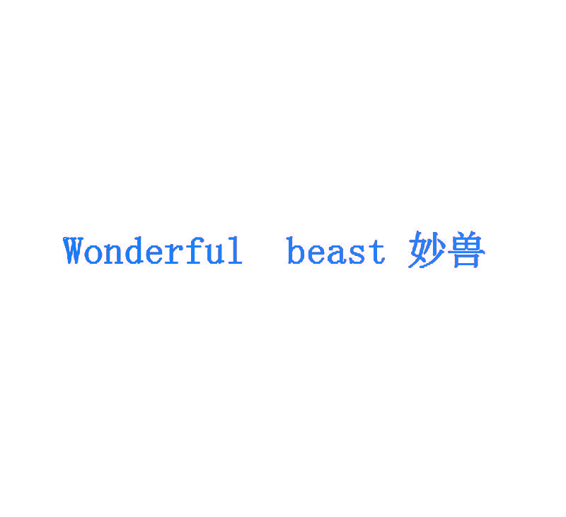 妙兽  WONDERFUL BEAST