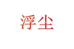 浮尘