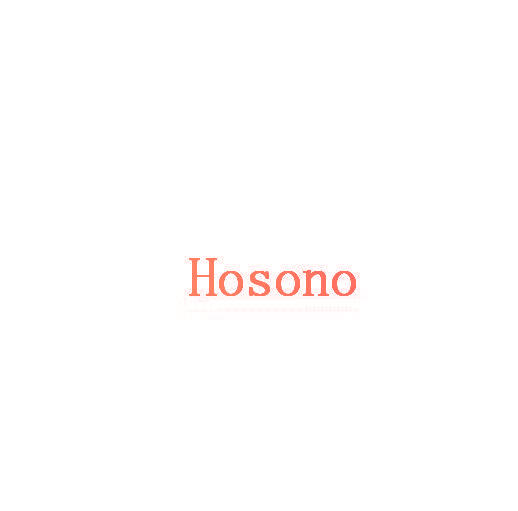 HOSONO