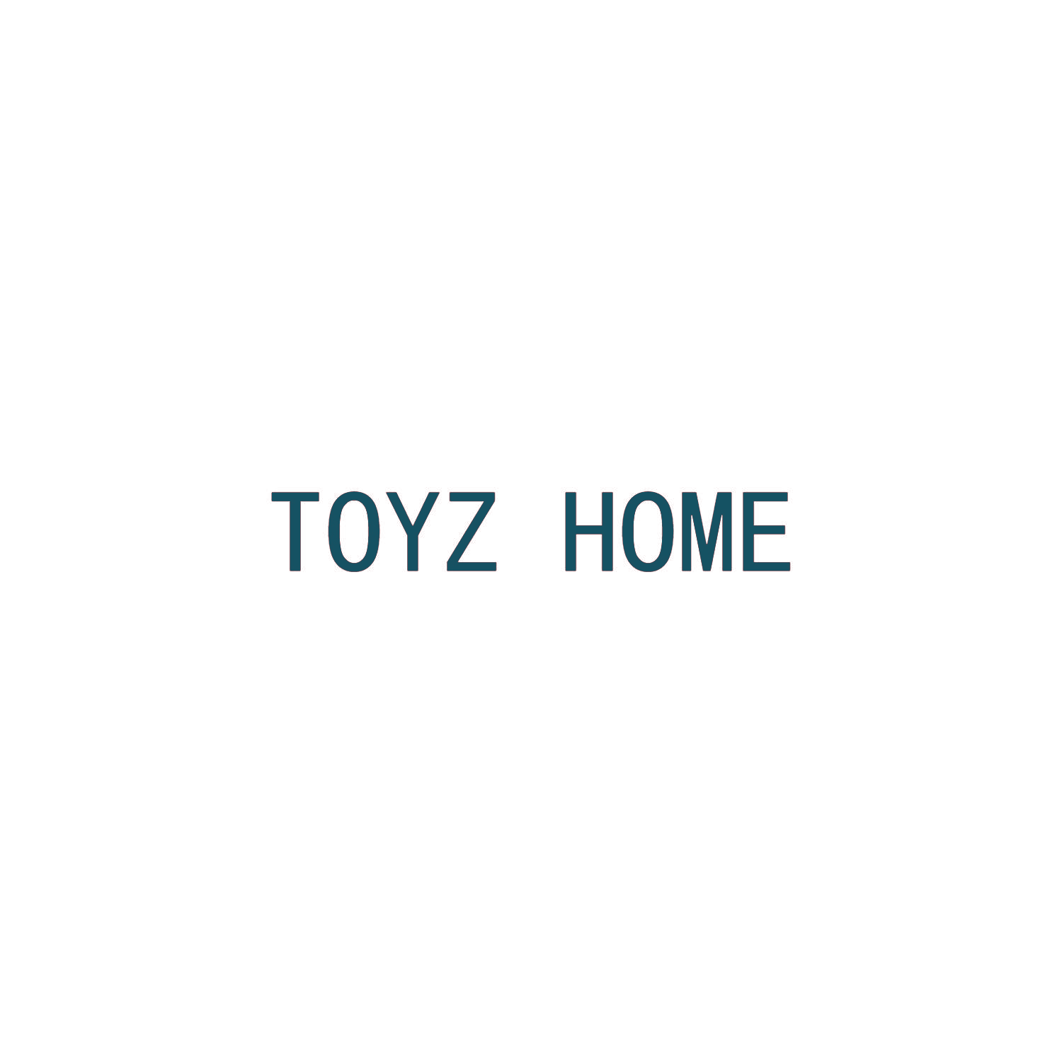 TOYZ HOME