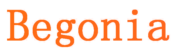 BEGONIA