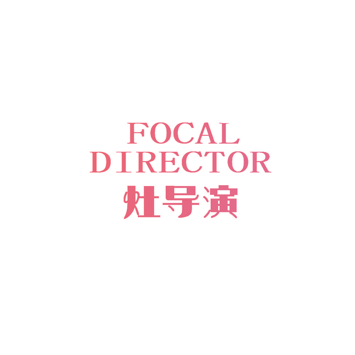 灶导演 FOCAL DIRECTOR